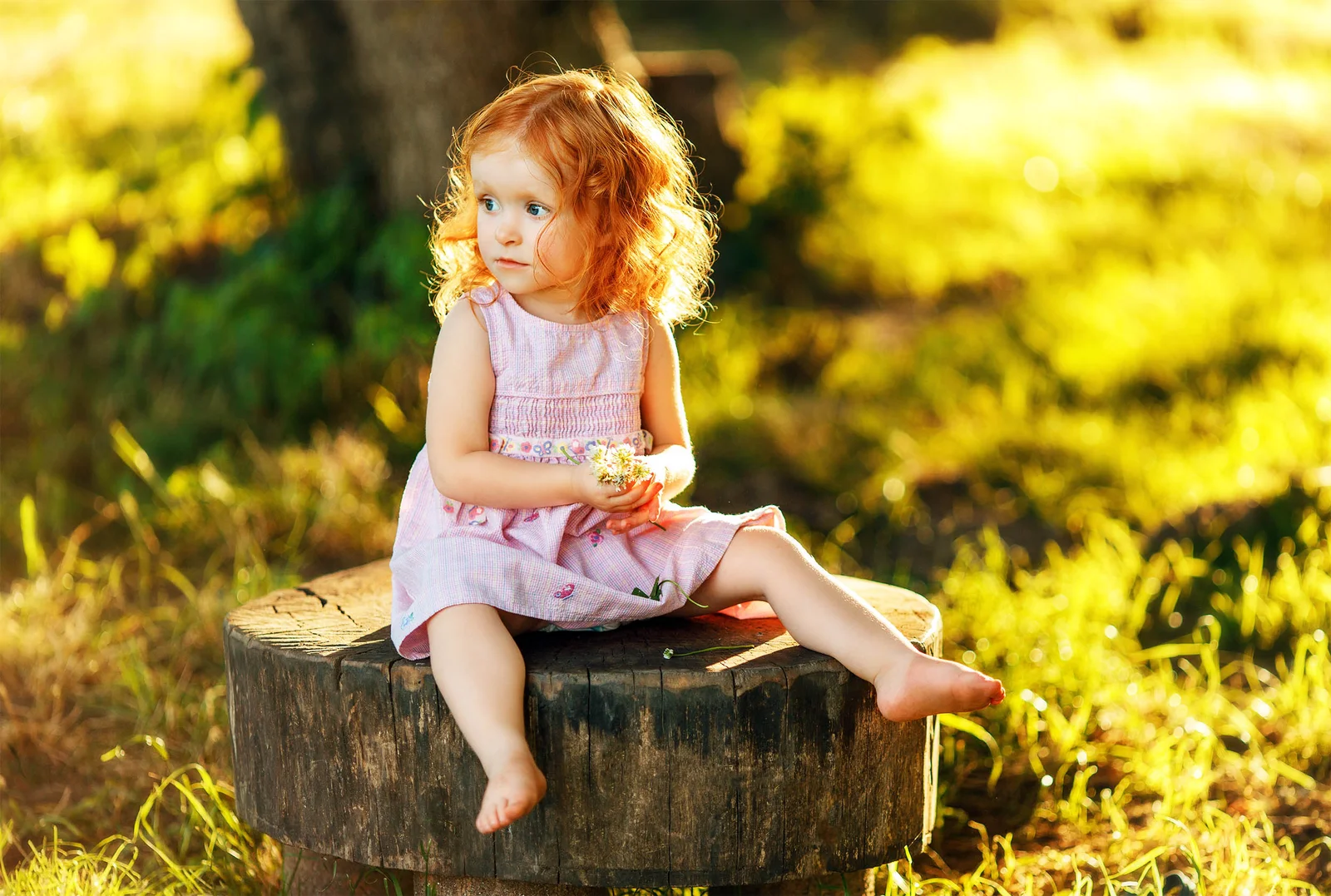 Orange pigment may guard cells, solving the puzzle of redheads and orange birds