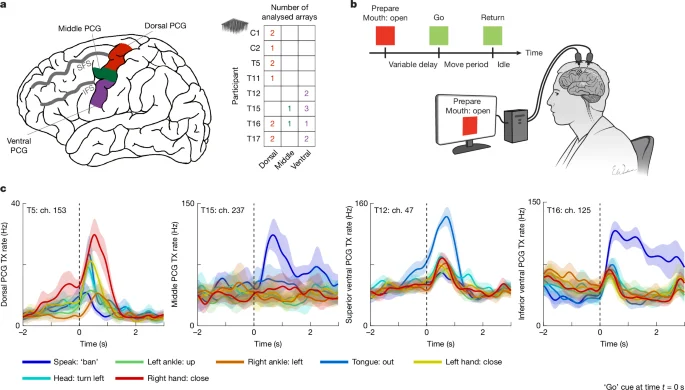 Interwoven whole-body motor maps across the human precentral gyrus revealed by single-neuron recordings