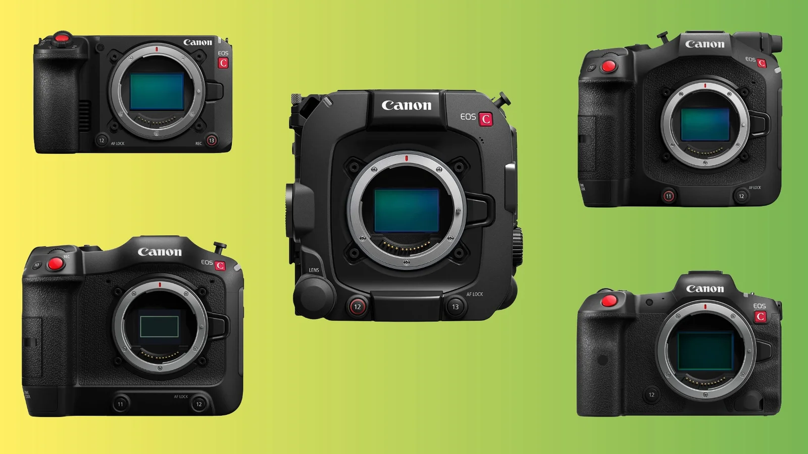 Canon Announces Free Summer Firmware Upgrades for Cinema EOS Lineup