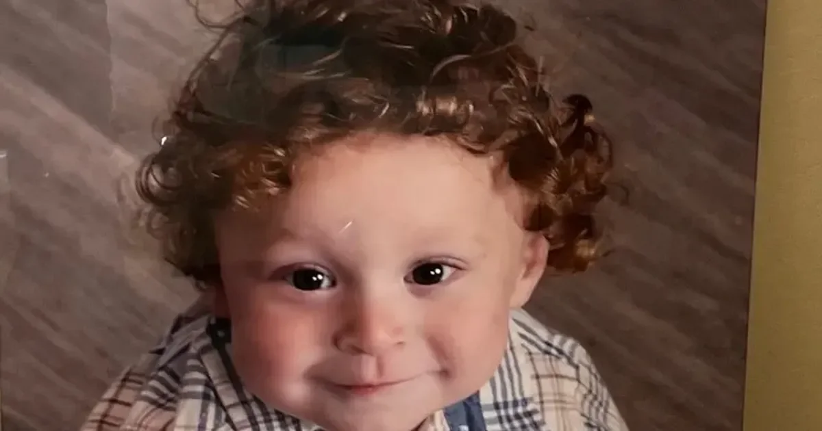 Arizona Parents Cleared as Toddler Found Alive After Declaration of Death