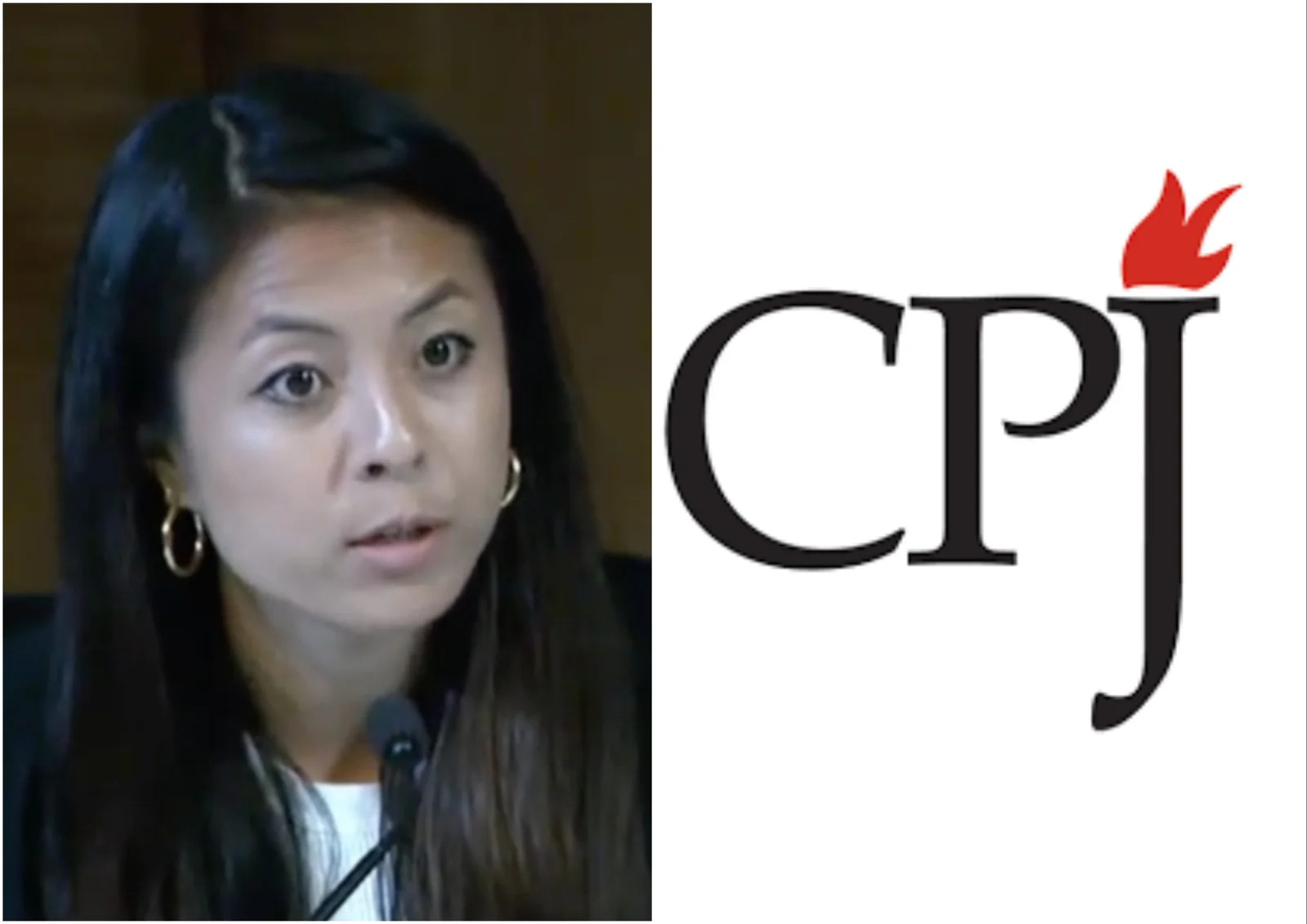 CPJ Ousts Heiress as It Reassesses Gaza Journalist-Death List