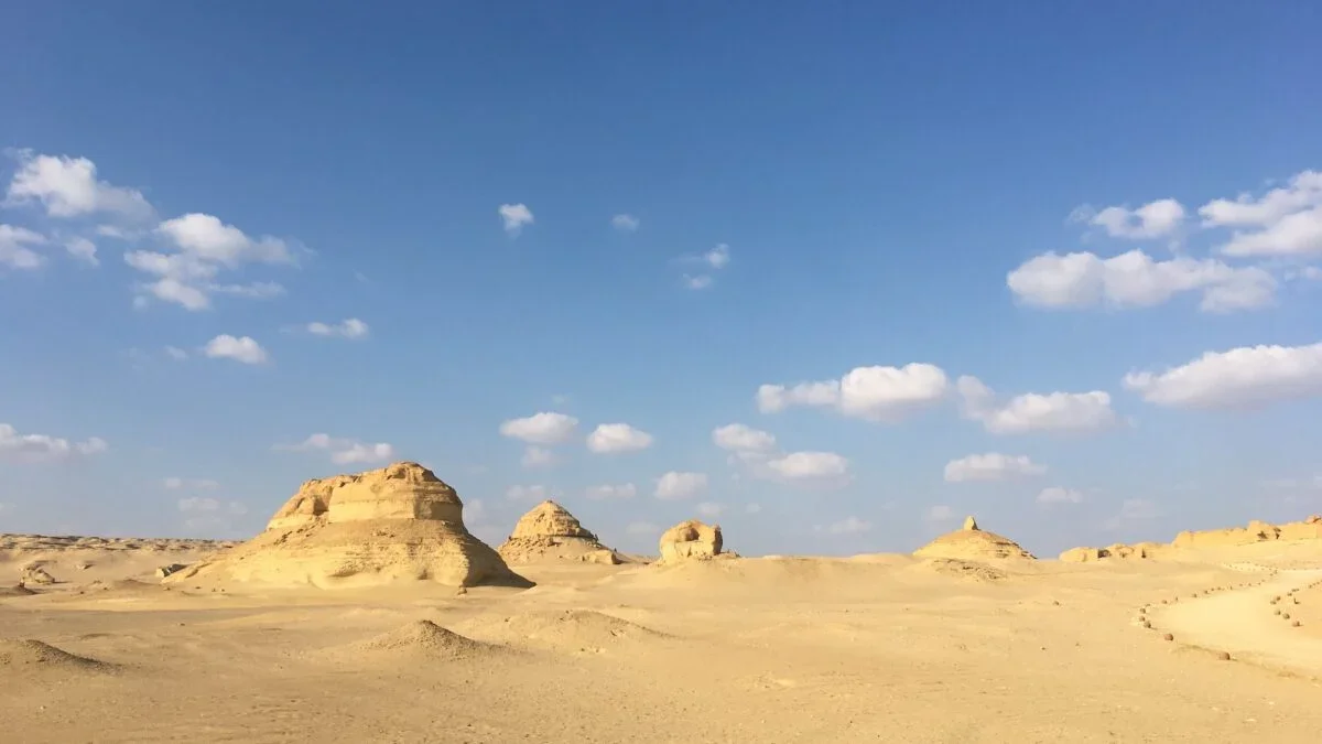 Desert Shark Discoveries in Egypt Highlight a Lost Inland Sea