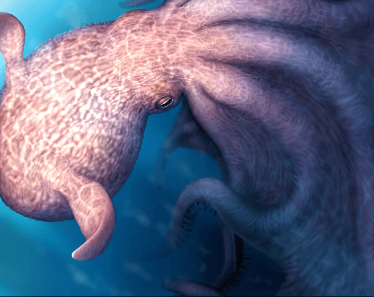 Kraken of the Cretaceous: 19-meter octopus reshapes deep-sea giants lore