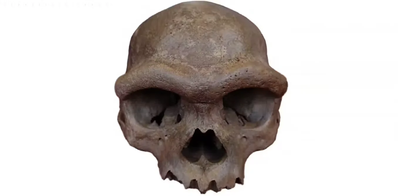 Tall Denisovans? Caution urged over two dubious bones