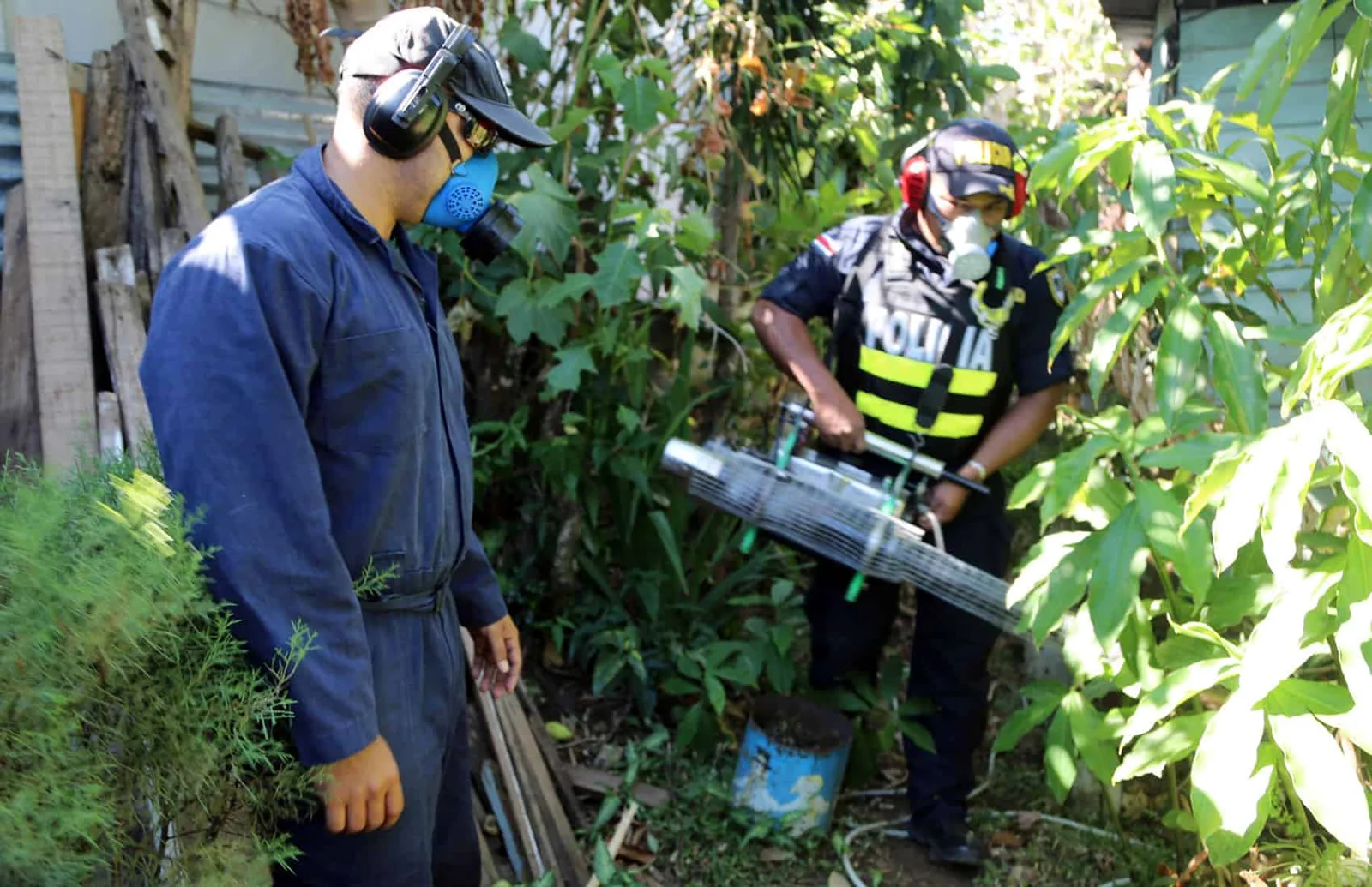 Guanacaste Beach Town Grapples with Chikungunya Outbreak as Costa Rica Amplifies Mosquito Control