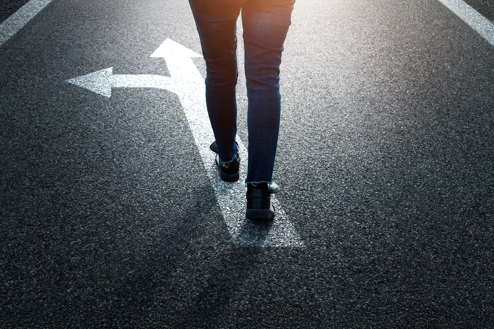Free and Forced Decisions Share the Same Brain Evidence Path