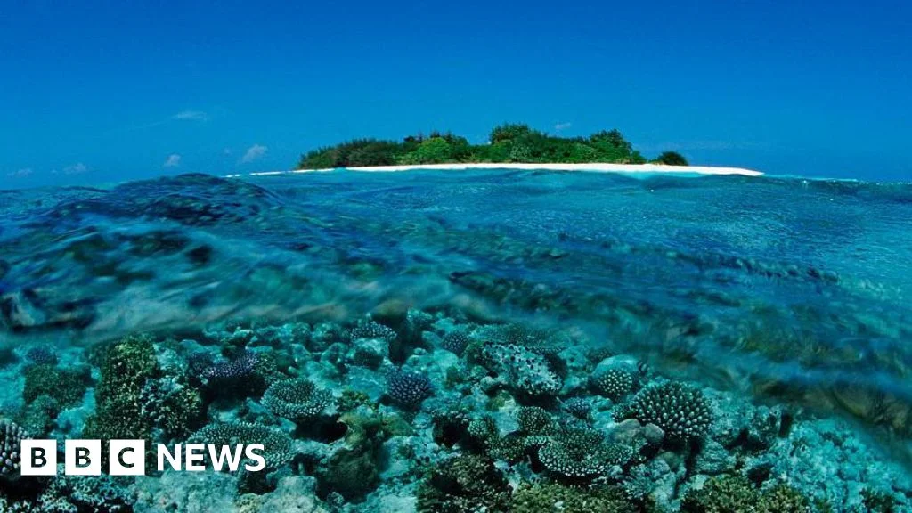 Tragedy at Maldivian Cave Dive: Five Italians Die