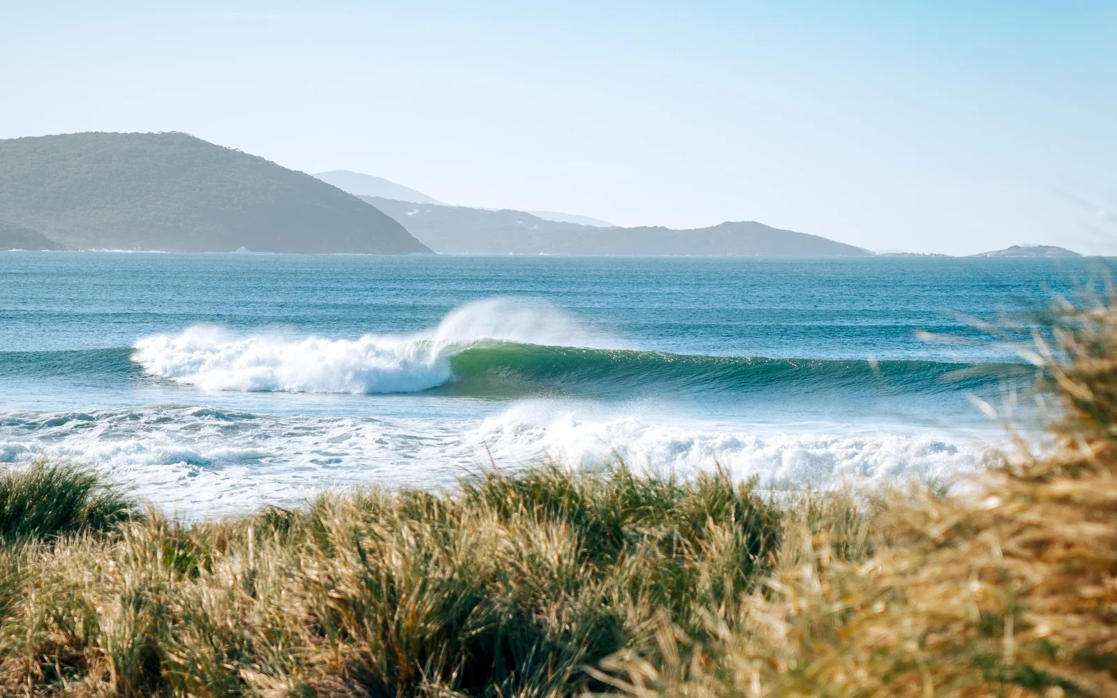 Two Reefs, One Mission: Surf and Shoreline Resilience from Albany to the Gold Coast
