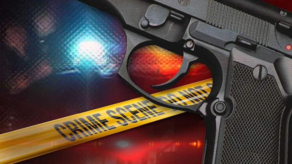 Multiple Shootings Leave Tragedy and Injuries in South Carolina