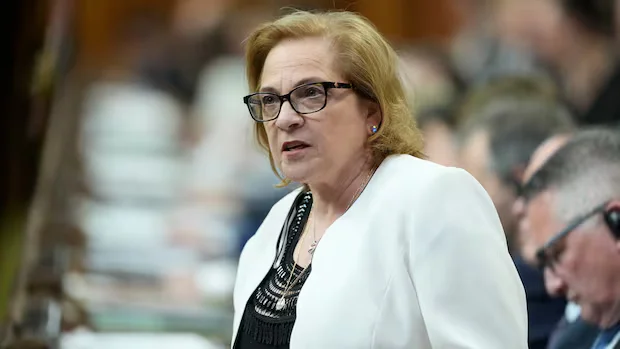 NDP demands transparency after suspension of 'lost Canadians' citizenship certificates