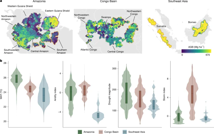 Tropical forest biomass responds unevenly to climate across continents, shaped by aridity, soils, and storms
