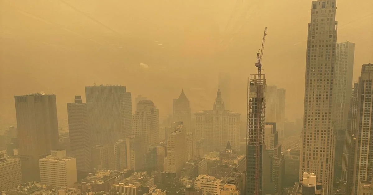 NYC Restaurants Tackle Smog Health Concerns.