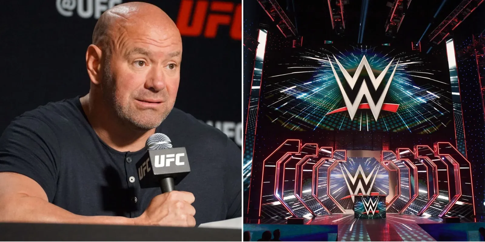 "Dana White and Logan Paul: Praise for WWE Success"
