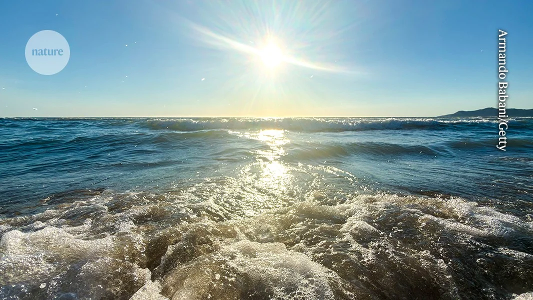 Oceans Near Record Heat as El Niño Amplifies Climate Impacts