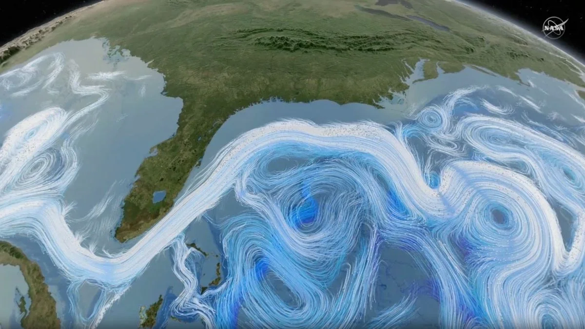 AMOC May Act as an Ocean Heat Valve, Reframing Earth's Temperature Control