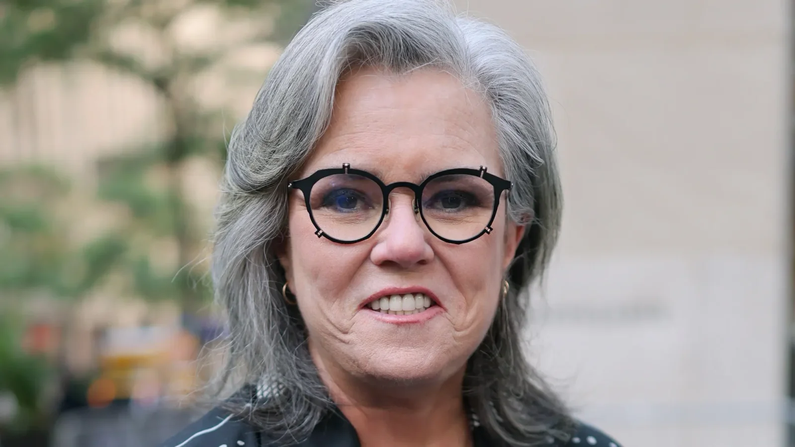 Rosie O'Donnell Signals Possible The View Guest Return for 30th Season