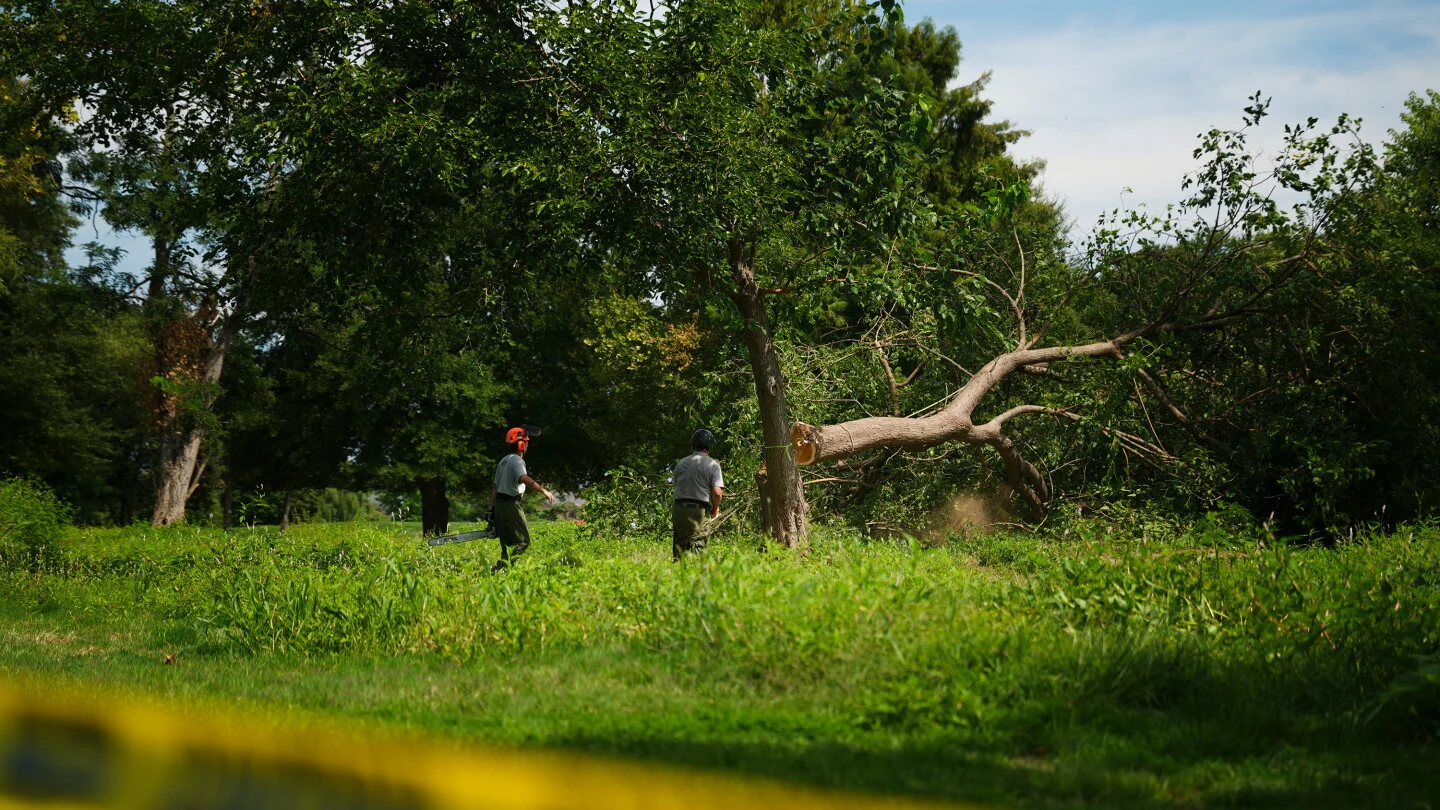 Tensions Mount at East Potomac Park Over Proposed Golf Course and Tree Removals