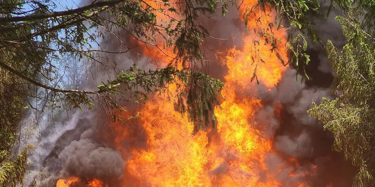 Child, 7, Charged with Arson for Setting Fire to Home While Parents Slept