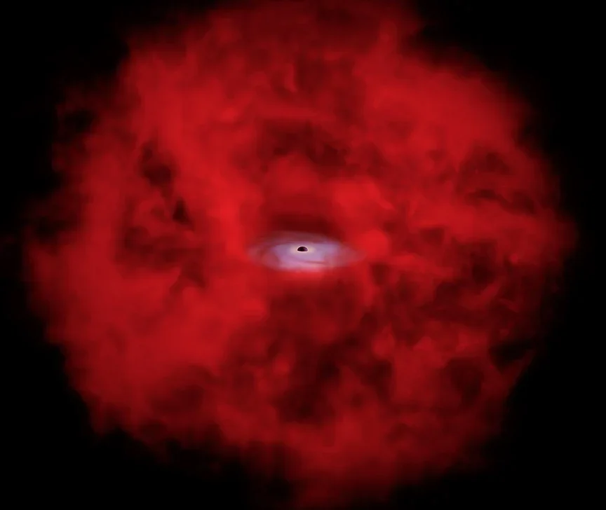 X-Ray Little Red Dot Hints at a Bridge in Early Black Hole Growth
