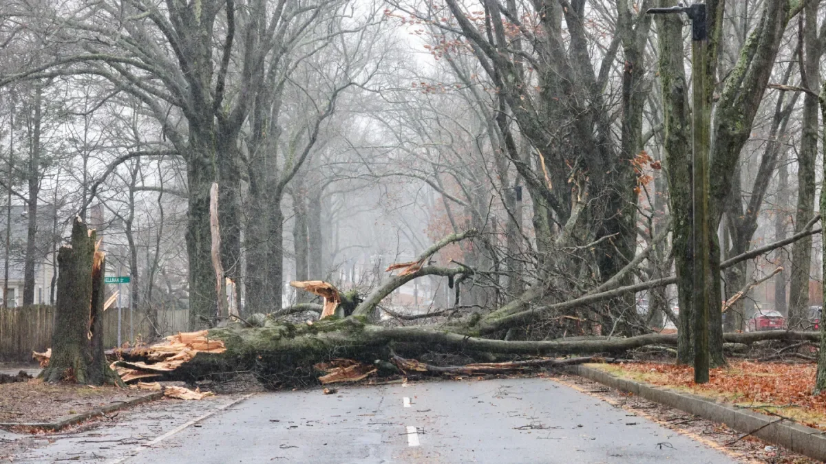 Massive Storm Ravages Massachusetts, Causing Widespread Destruction