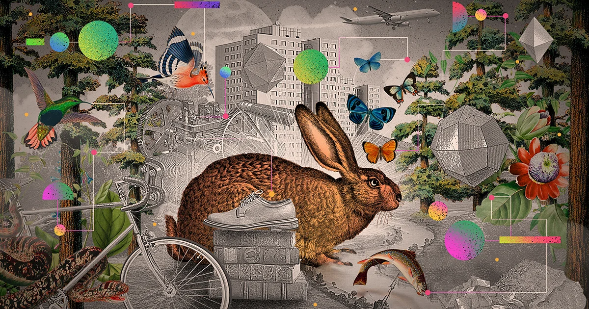 Life with Intent: Rethinking Biological Agency