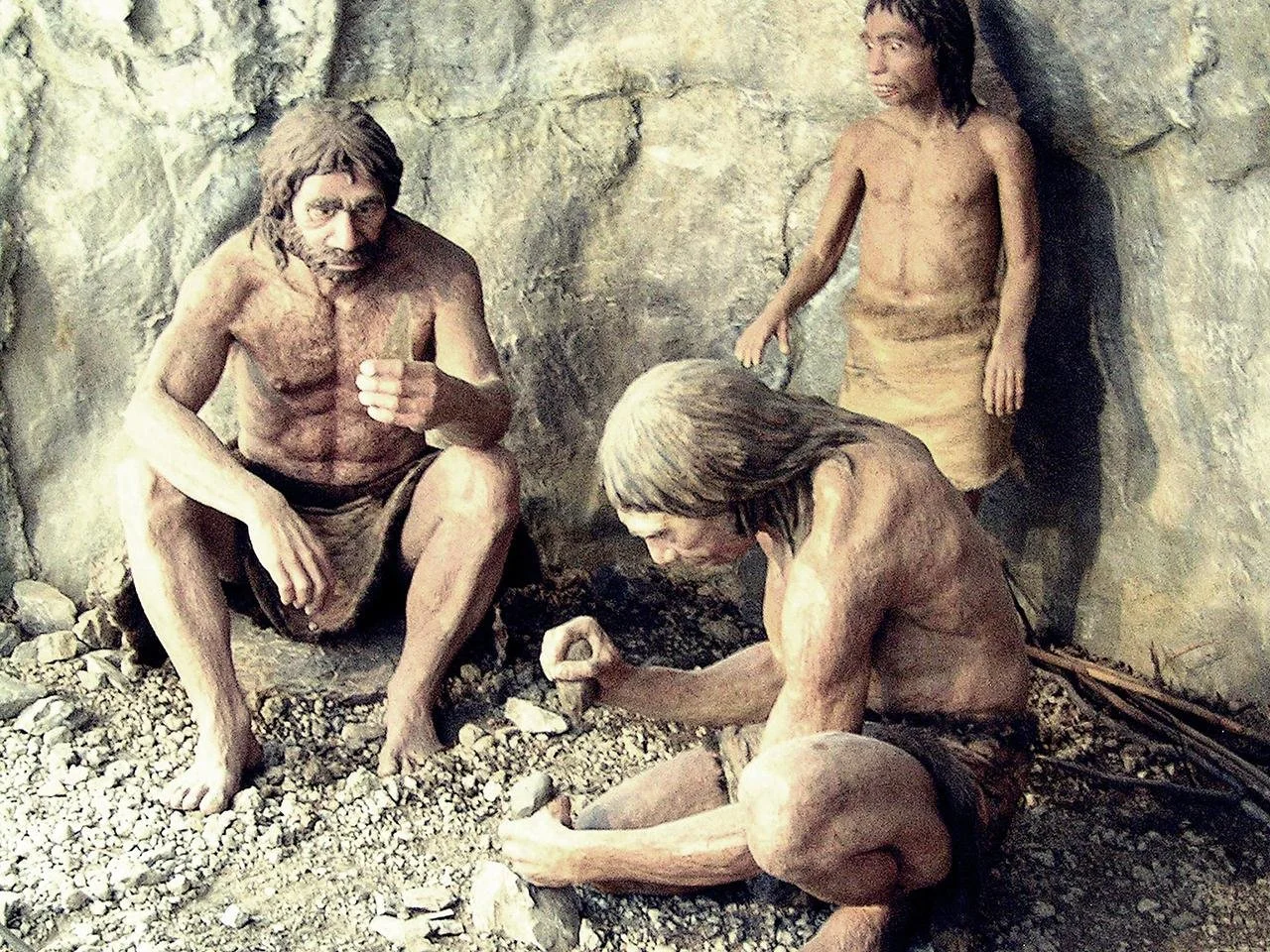 Western Europe’s late Neanderthals were diverse and interconnected, study finds
