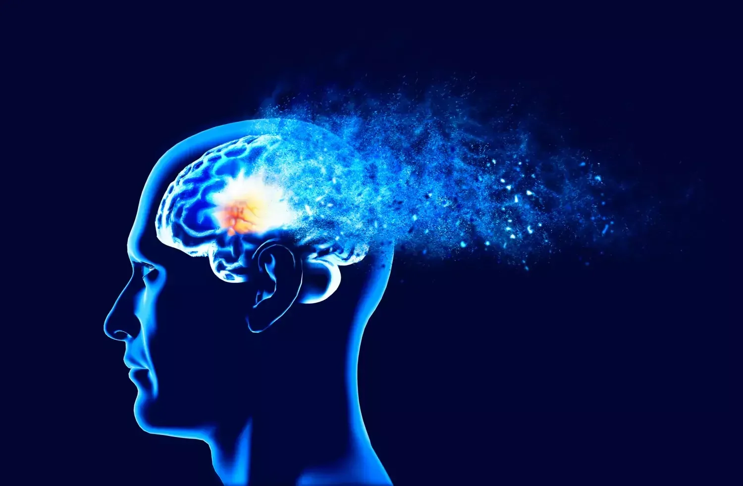 Maitake Mushrooms May Sharpen Memory in Older Adults, Study Finds