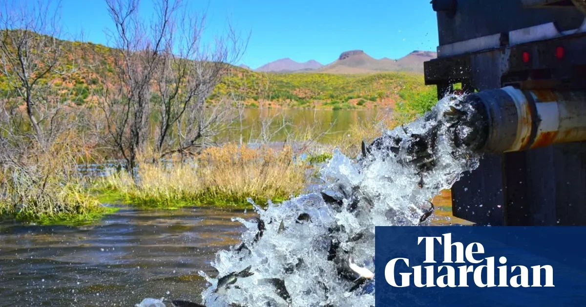 San Carlos Lake Shuts Down Indefinitely After Complete Fish Die-Off