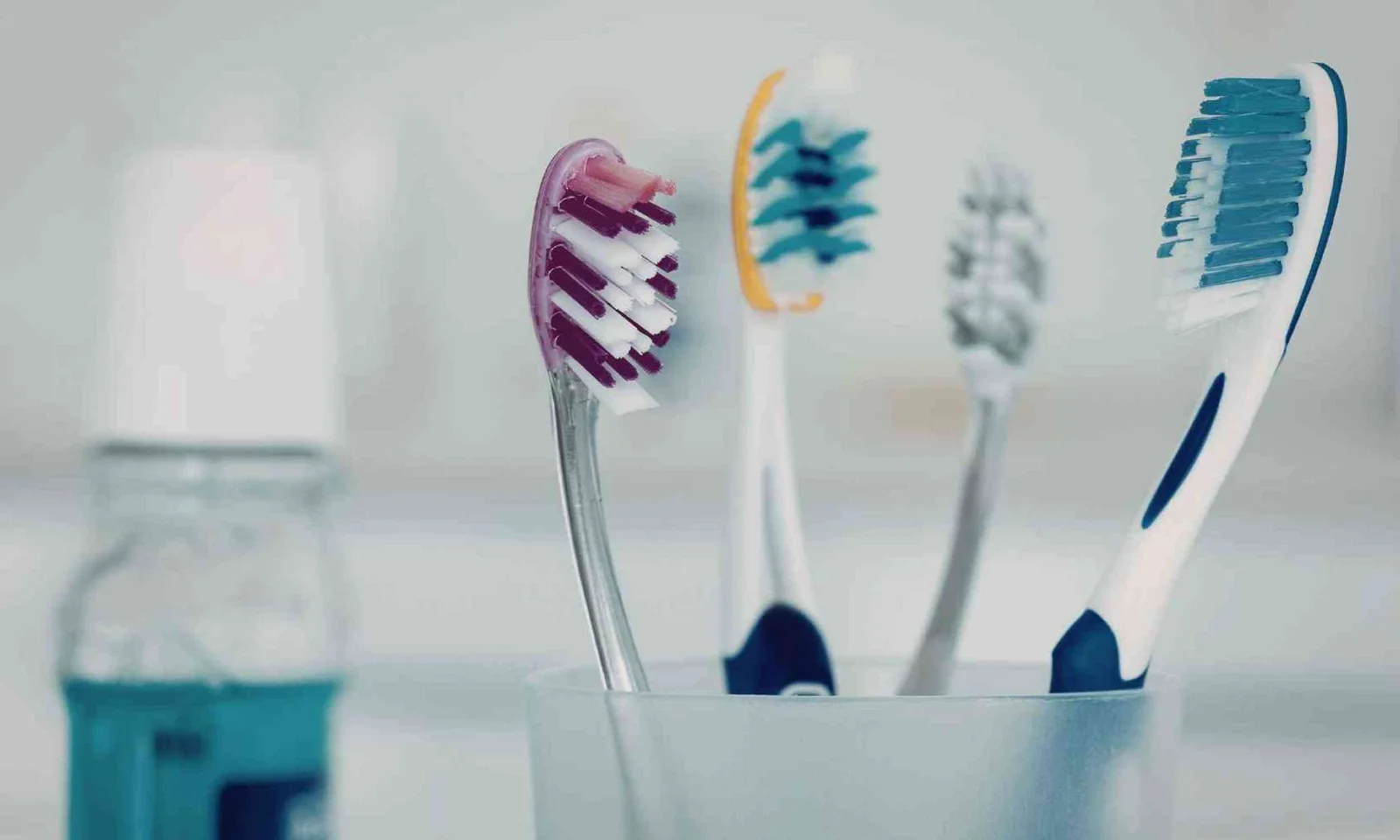 Graphene Toothbrush Mystery Solved: How Graphene Oxide Kills Bacteria Without Harming Humans