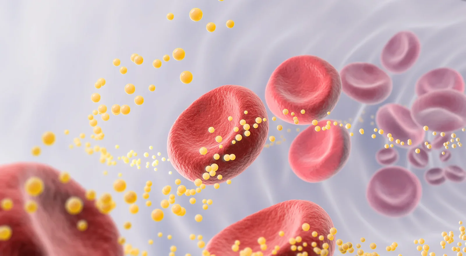 Cholesterol Guidelines Push Proactive Screening, Personal Risk, and Sharper LDL Targets