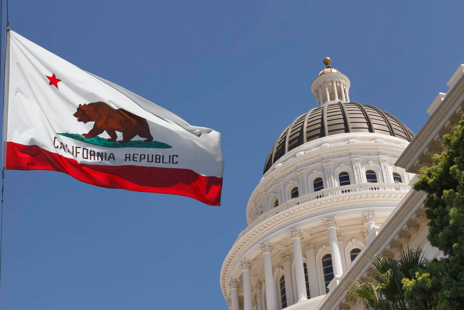Becerra Surges in California Governor Primary as Hilton and Steyer Chase Second