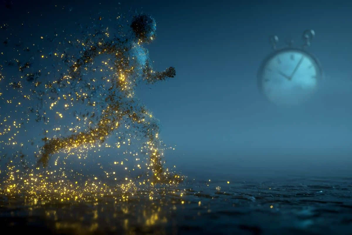 Year-Long Cardio Recalibrates Stress Hormones and Brain Aging