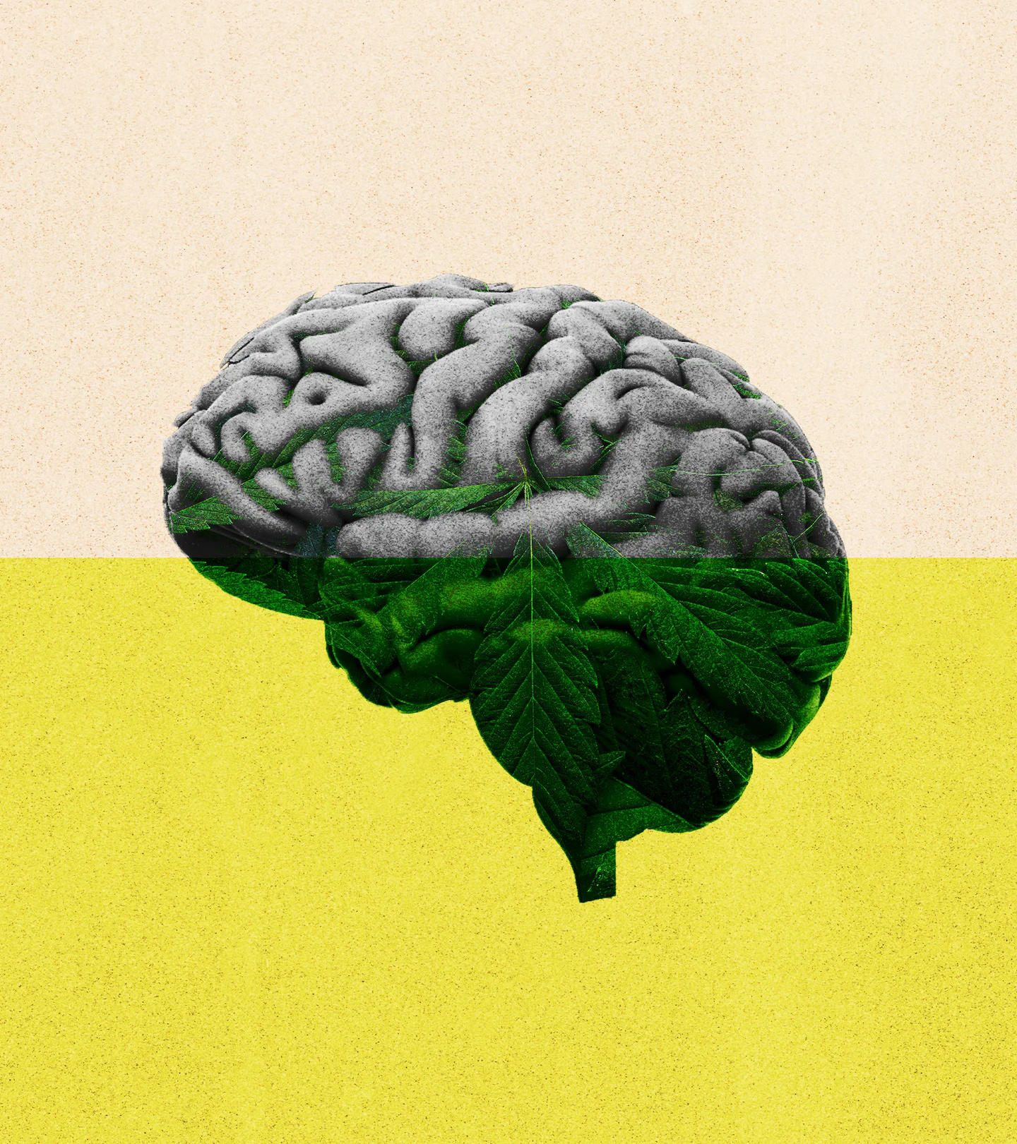Seven surprising brain findings from new cannabis research