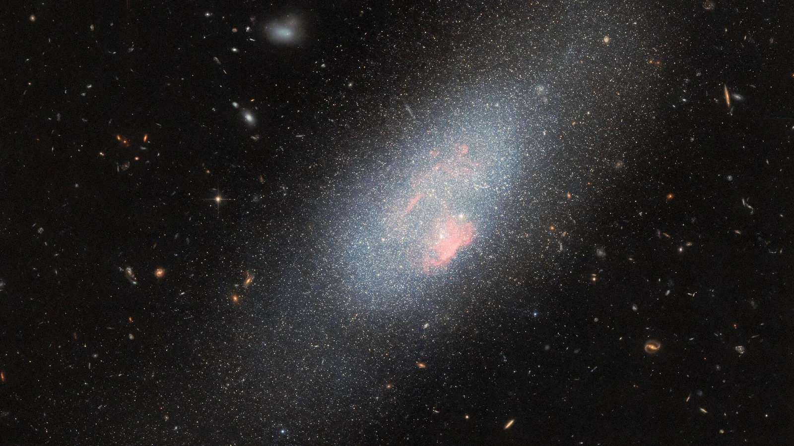 Dark subhaloes may steer tiny galaxies toward a universal fate