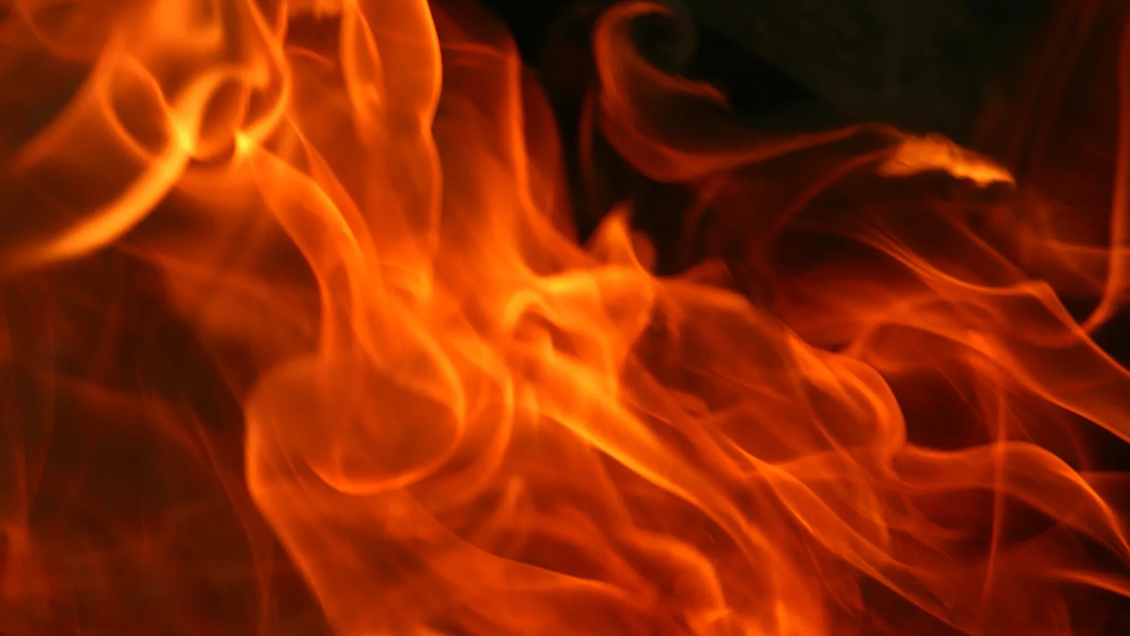 Fort Wayne arson case: man accused of using severed genitals to ignite a garage fire