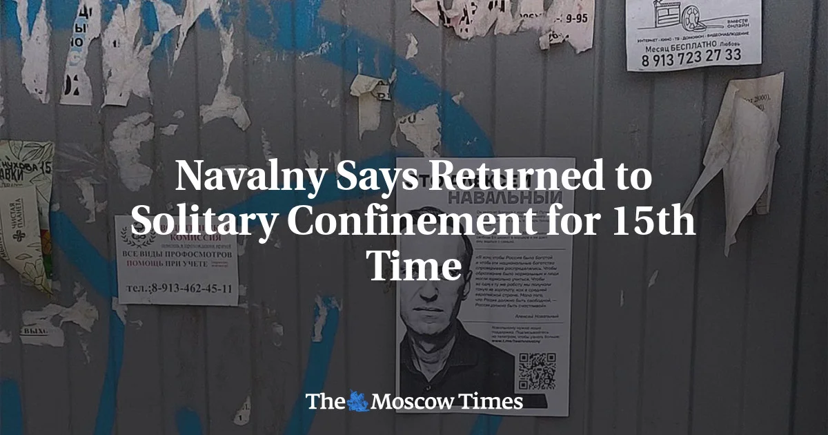 Navalny Placed in Solitary Confinement for 15th Time, Says Lawyer