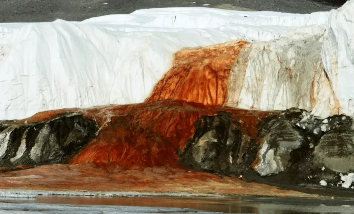Hidden Brine and Pressure Explain Antarctica's Blood Falls