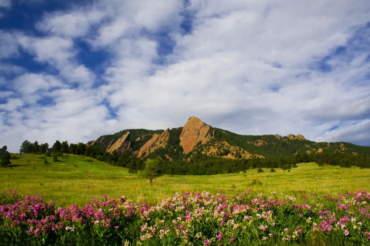 Top US Cities for Desirable Living: Colorado, Florida, Wisconsin, and Alabama Make the List