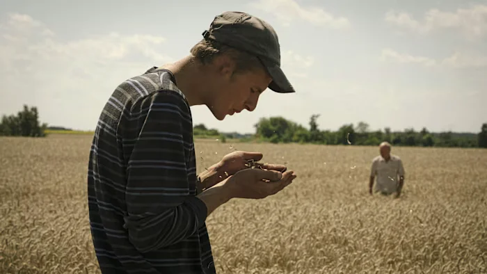 Black Sea disruptions push global grain prices to multi-year highs