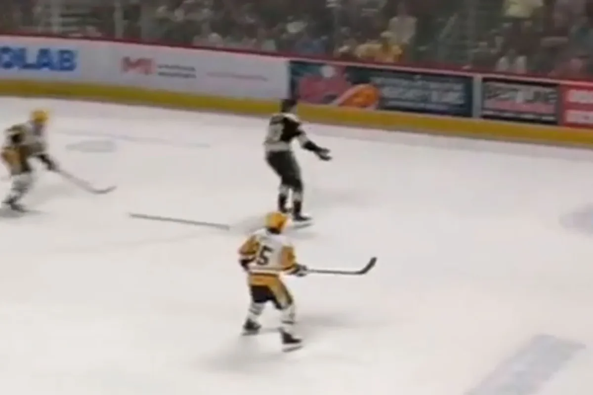 OT winner pushes Penguins past Bears amid disputed call