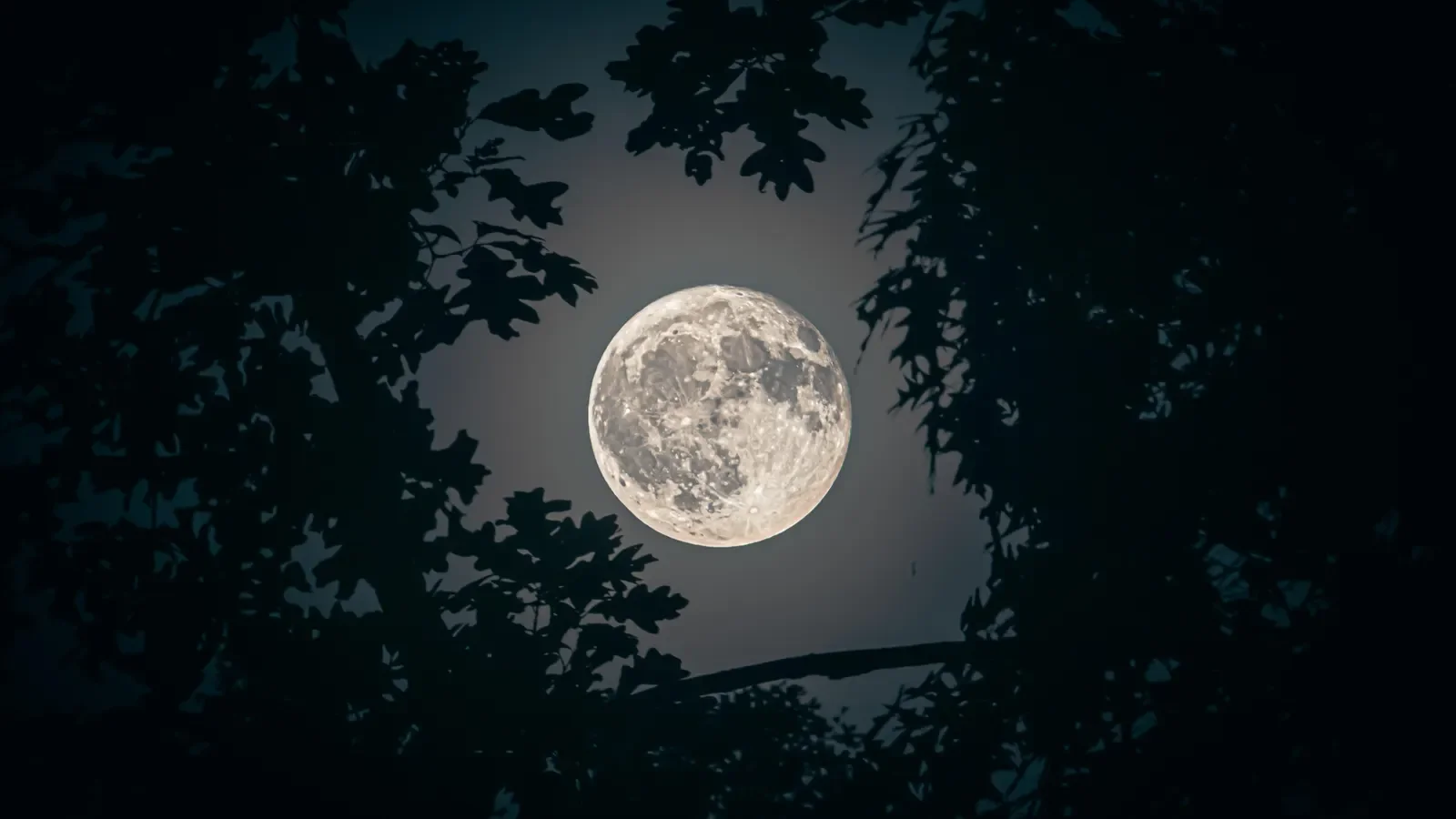 Weekend Blue Moon Lights Up Dusk Sky