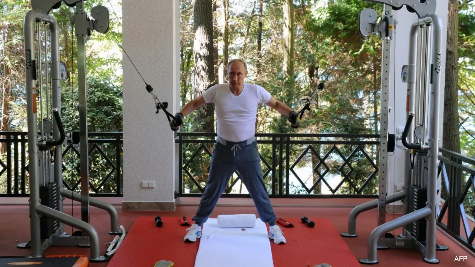 Putin Bets Big on Bio-Printed Organs and Mini-Pigs to Fight Aging