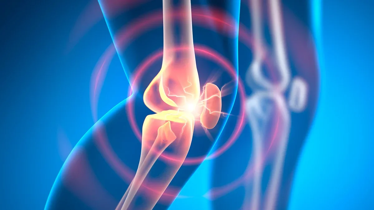 From Cartilage Repair to Whale Language: This Week in Science