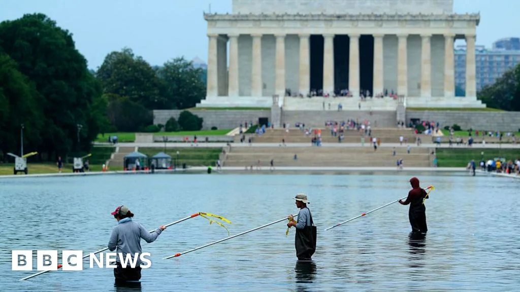 Ex-Olympian Denies Vandalizing DC Reflecting Pool After Arrest