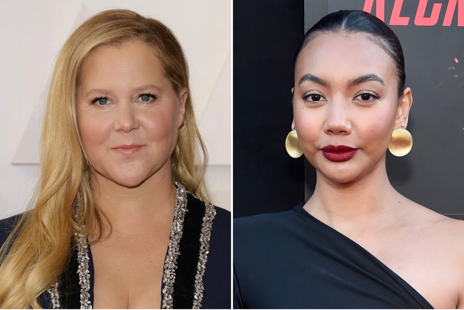 Amy Schumer's Controversial Instagram Exchange and Political Stance Spark Debate