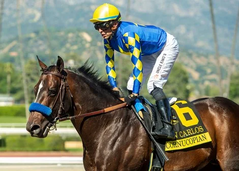 Colt Cornucopian Euthanized After Bing Crosby Stakes Injury