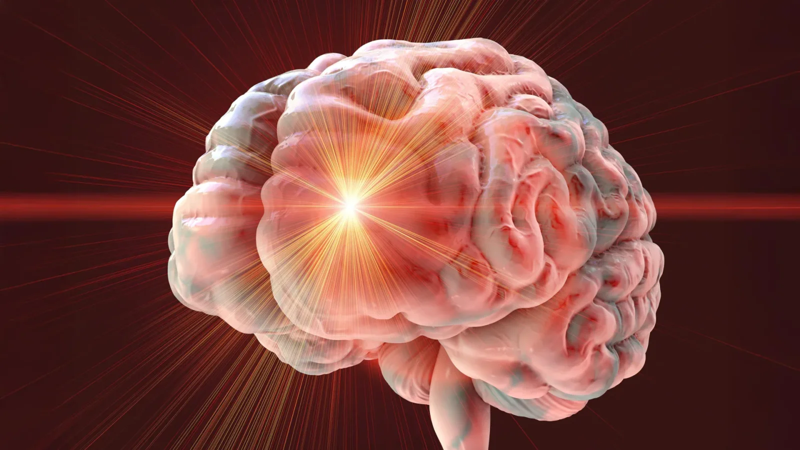 Senolytic drug duo triggers brain myelin loss in mice