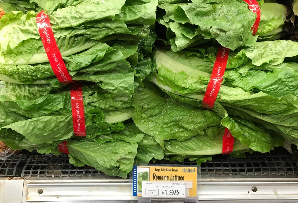 Cyclospora Outbreak: What Bay Area Residents Need to Know This Summer