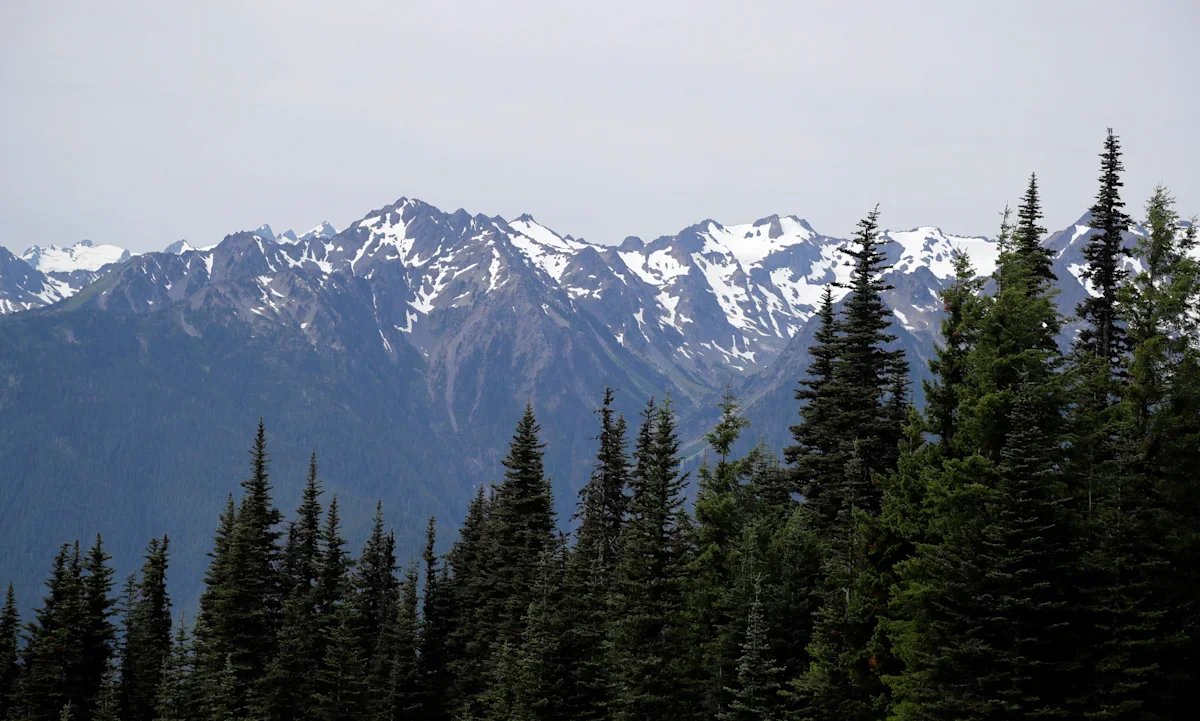 DNA solves decades-old Olympic National Park mystery