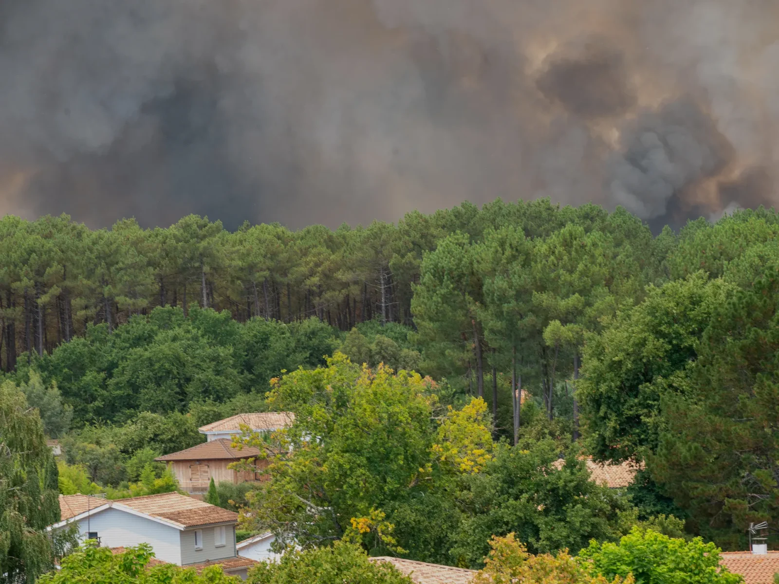 Thousands Evacuated as Wildfires Rage Near Bordeaux Region